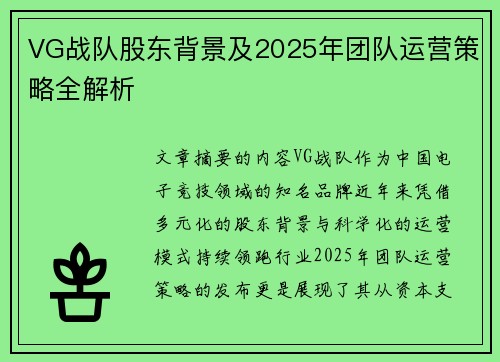 VG战队股东背景及2025年团队运营策略全解析